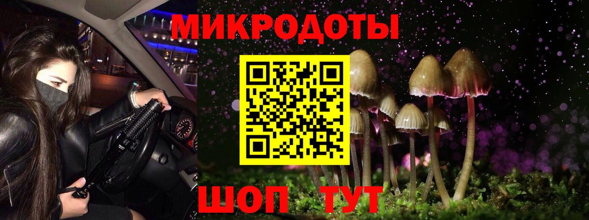 Псилоцибиновые грибы GOLDEN TEACHER  Псилоцибиновые грибы Psilocybine cubensis  Вход с VPN  Вятские Поляны 